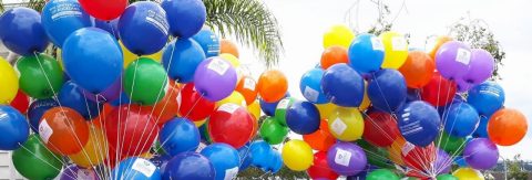 Rainbow balloons with University of Auckland logo from Pride Parade