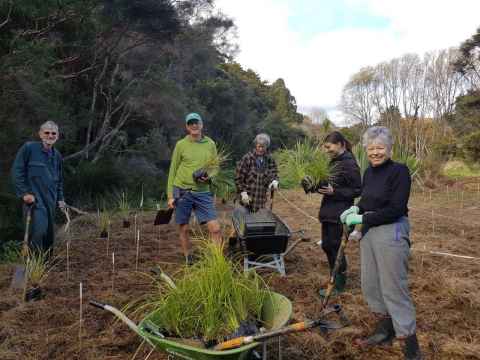 Conservation working bee at Matuku Link Reserve, Te Henga
