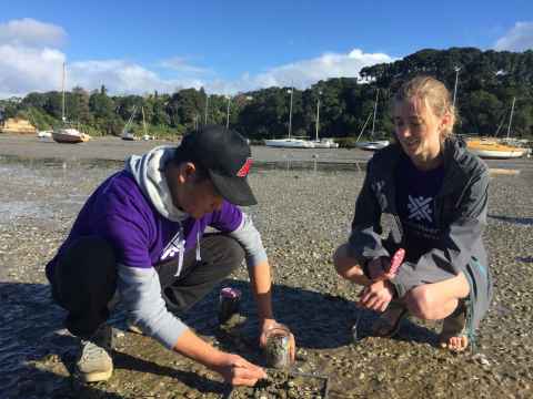 Collecting microplastic samples at Little Shoal Bay, Northcote