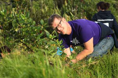 The Alumni Relations and Development team helping Ngāti Whātua Orakei with an ecological restoration and maintenance project