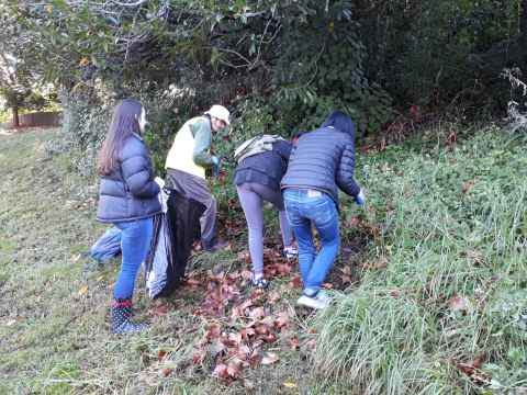 Morning gardening at Maungawhau/Mt Eden