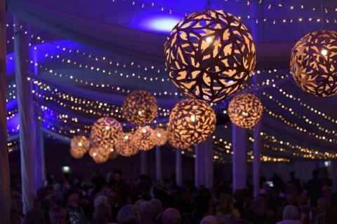 Distinguished Alumni Awards Dinner, March 2016