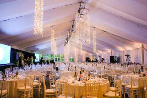Distinguished Alumni Awards Dinner, March 2017