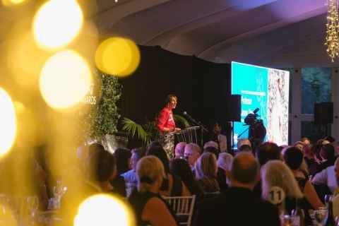 Distinguished Alumni Awards Dinner, March 2017