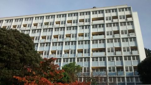 Modern heritage saved from demolition, the controversial Gordon Wilson Flats in Wellington. Photo Photo by Ballofstring, distributed under a CC BY-SA 3.0 licence.