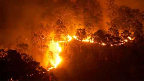 An image shows bush fire forcing it's destructive path across the Australian landscape. Photo: iStock An image shows bush fire forcing it's destructive path across the Australian landscape. Photo: iStock