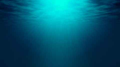 An underwater view of the ocean is pictured: Only government action will halt continuing threats to oceans around the globe. Photo: iStock