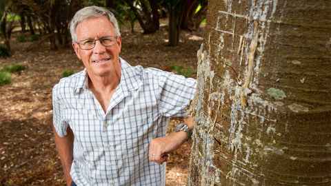 Associate Professor Bruce Burns next to kauri with gummosis, the oozing of resin when a tree is under stress.