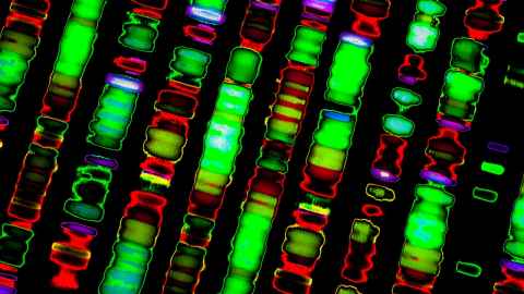 DNA sequence