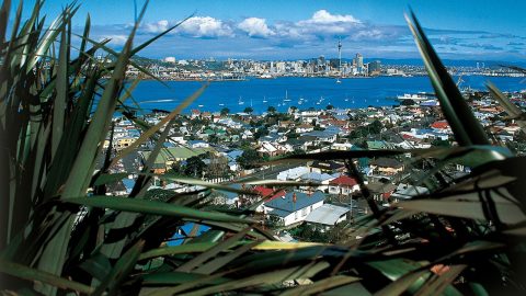 Flatting in Auckland