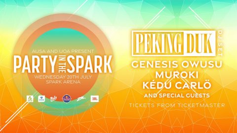 Party in the park promotional poster