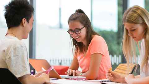 Students studying together.