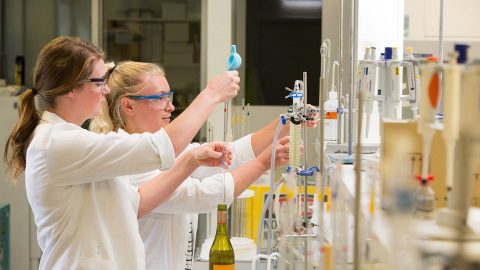 Image showing Viticulture students in lab.