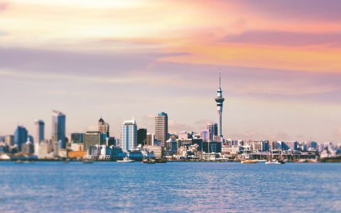 Auckland city from Bayswater Marina