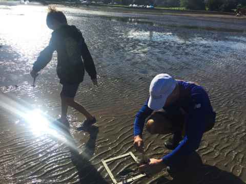 Collecting microplastic samples at Little Shoal Bay, Northcote
