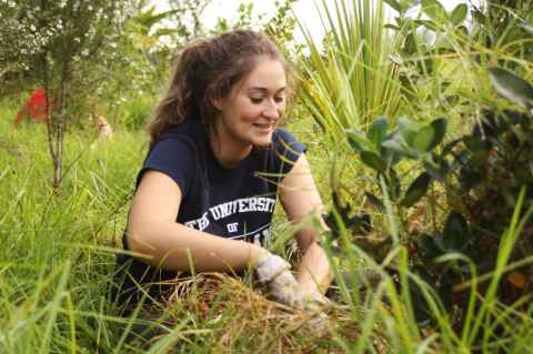 The Alumni Relations and Development team helping Ngāti Whātua Orakei with an ecological restoration and maintenance project