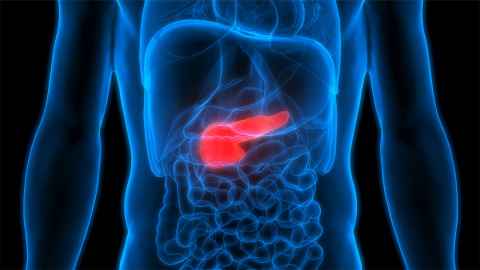 Finally Some Good News About Pancreatic Cancer The University Of Auckland