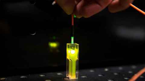 Fluorescence in action. Fluorescence is the process when a material absorbs light and emits light of lower energy. Here a rhodamine solution absorbs green light to emit yellow light. The phenomenon of fluorescence is used by the FoodSafe group to enumerate bacteria. Photo: Elise Manahan