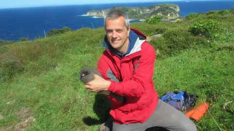 Brendon Dunphy checking on the health of a grey-faced petrel chick on Mokohinau Islands in the Hauraki Gulf.      