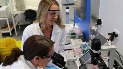 ABI's Dr Alys Clark looks through a microscope with Associate Professor Jo James in lab glasses looking on.