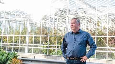 Professor Andrew Allan in greenhouse.