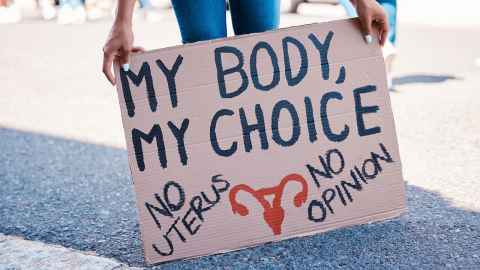 My body, my choice image