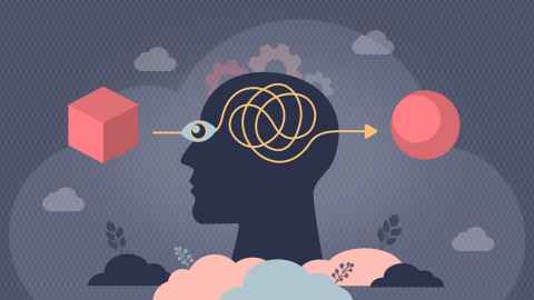Graphic of head seeing a square but perceiving it as a sphere