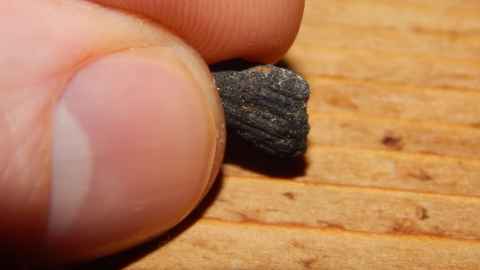 biochar in the palm of the hand